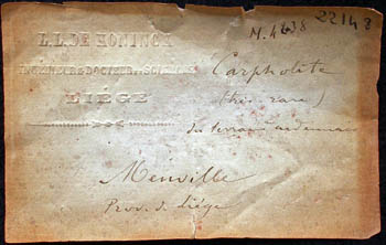label: Carpholite from the collection of De Koninck